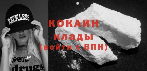 гашик Богданович