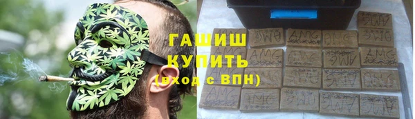 гашик Богданович