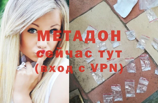 гашик Богданович