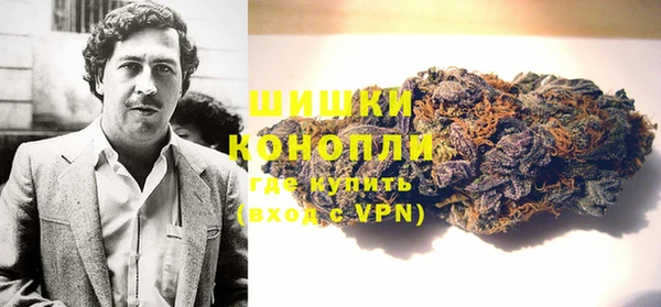 гашик Богданович