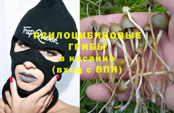 гашик Богданович
