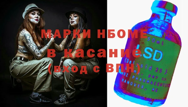 гашик Богданович