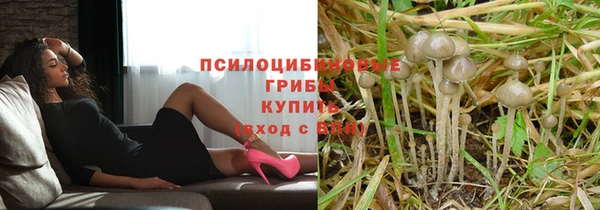 кокаин премиум Богородицк