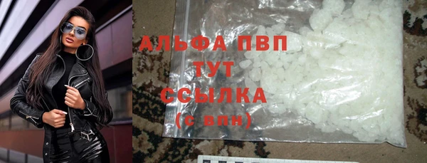 гашик Богданович