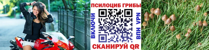 Купить  Октябрьск  Псилоцибиновые грибы MAGIC MUSHROOMS 
